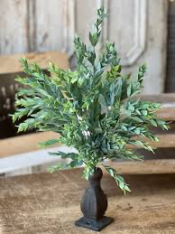Rain washed 21 inch bush