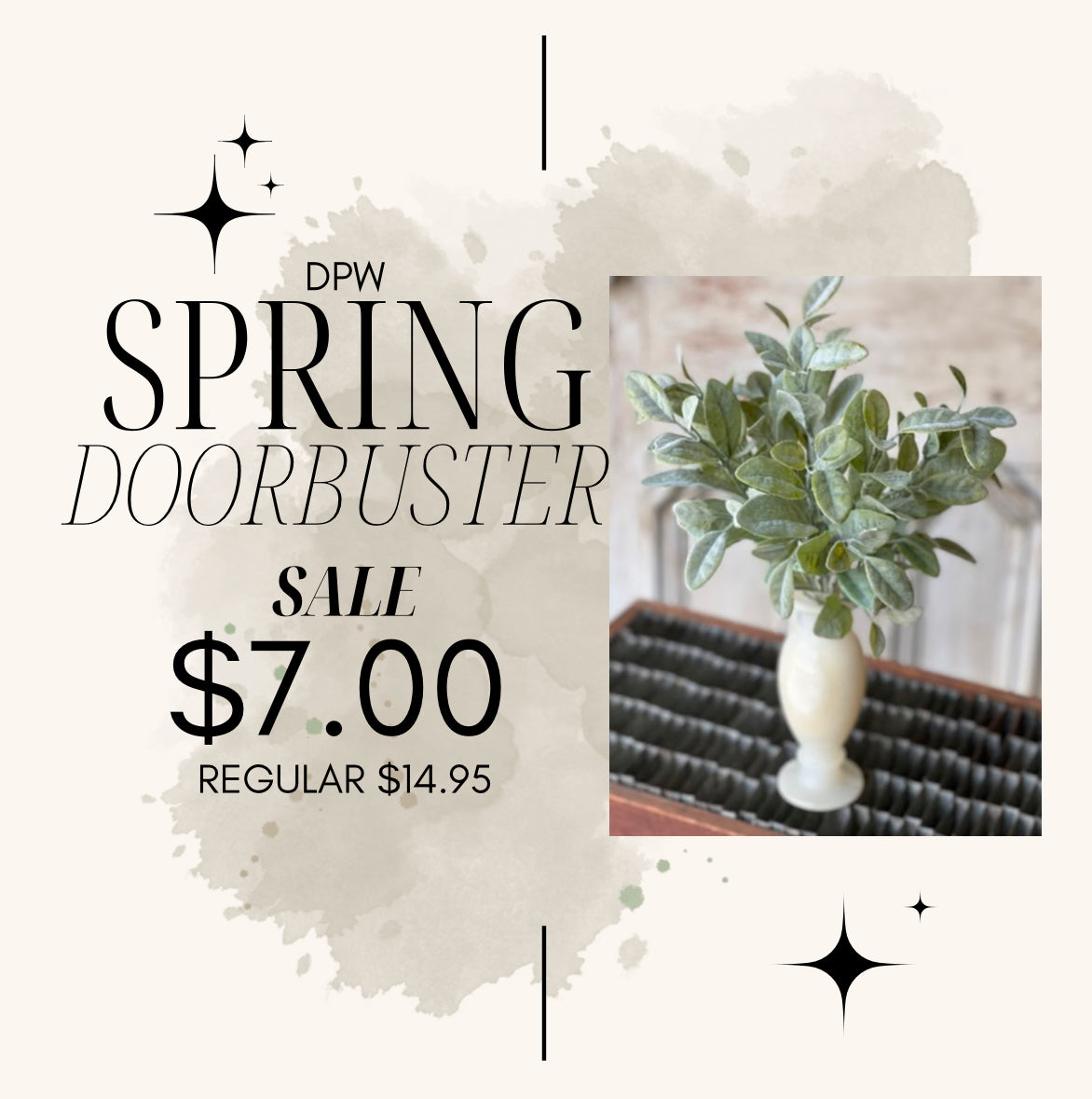 Doorbuster Spring- Lambs Ear Bush