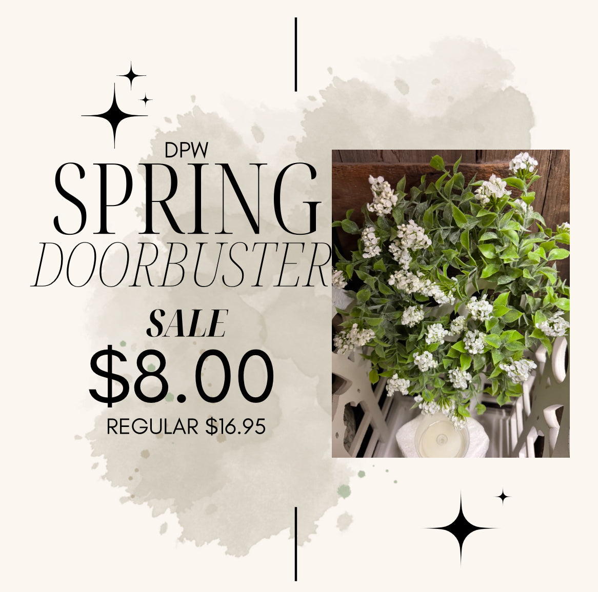 Doorbuster Spring- 6” Late Bloomer